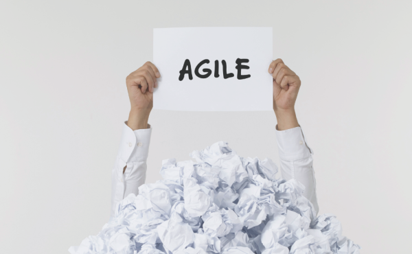 Agile business process transformation risks and challenges 